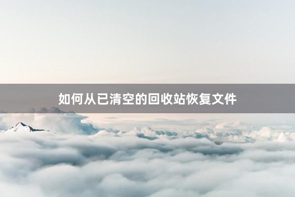 如何从已清空的回收站恢复文件